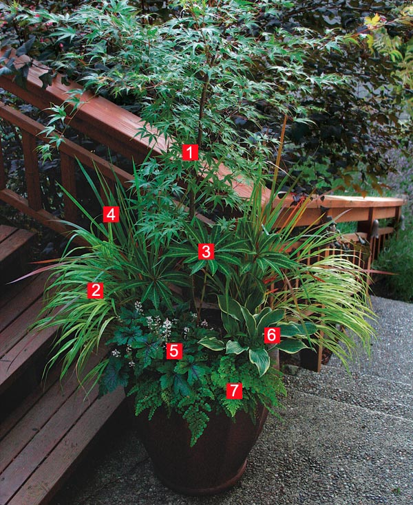 Stylish Shady Containers FineGardening Inspired by the forest