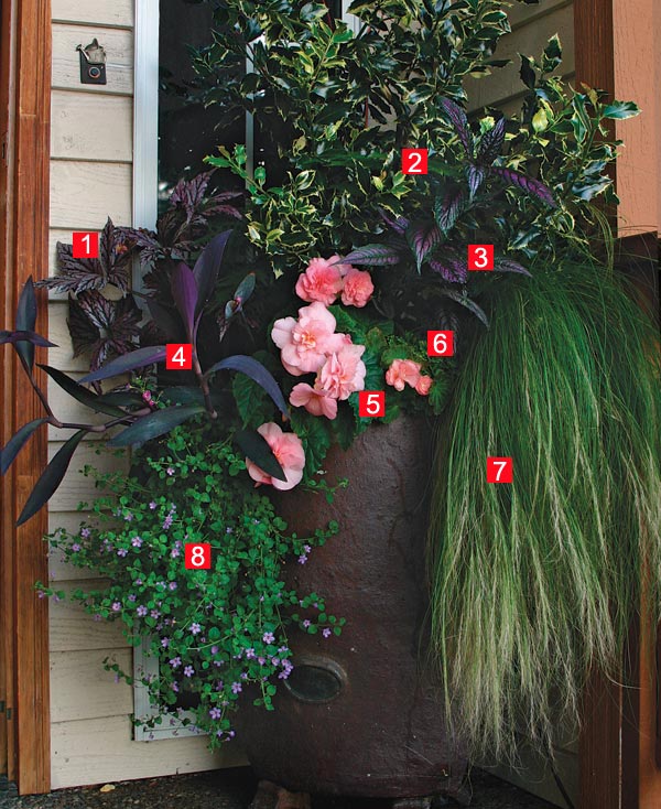 Stylish Shady Containers FineGardening Condensed for a cramped entryway