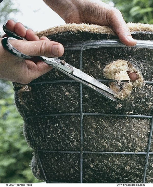 How To Make And Plant A Hanging Basket