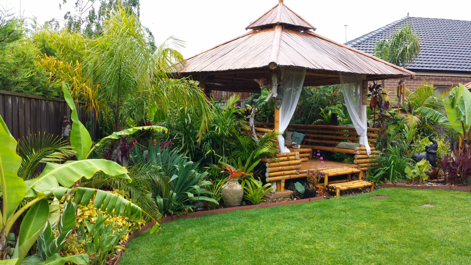 Daniel's tropical garden in AUSTRALIA - FineGardening