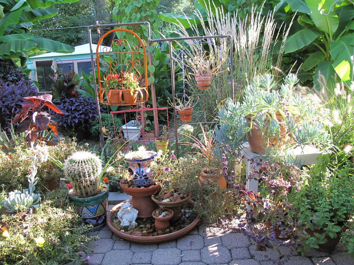 how an awful lot for gardening services wolf tree provider savannah ga