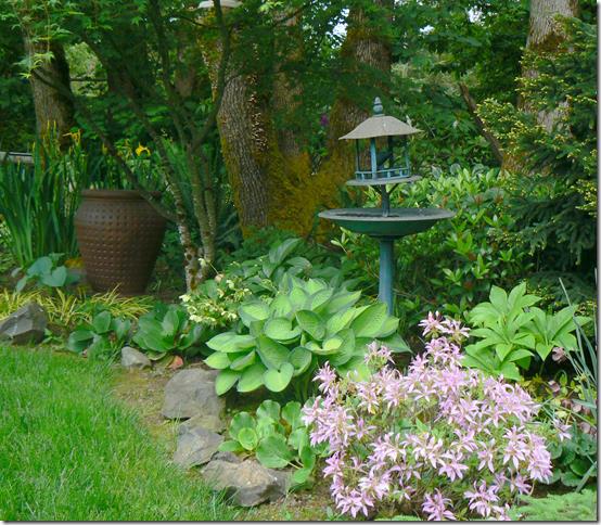 Singles in azalea oregon
