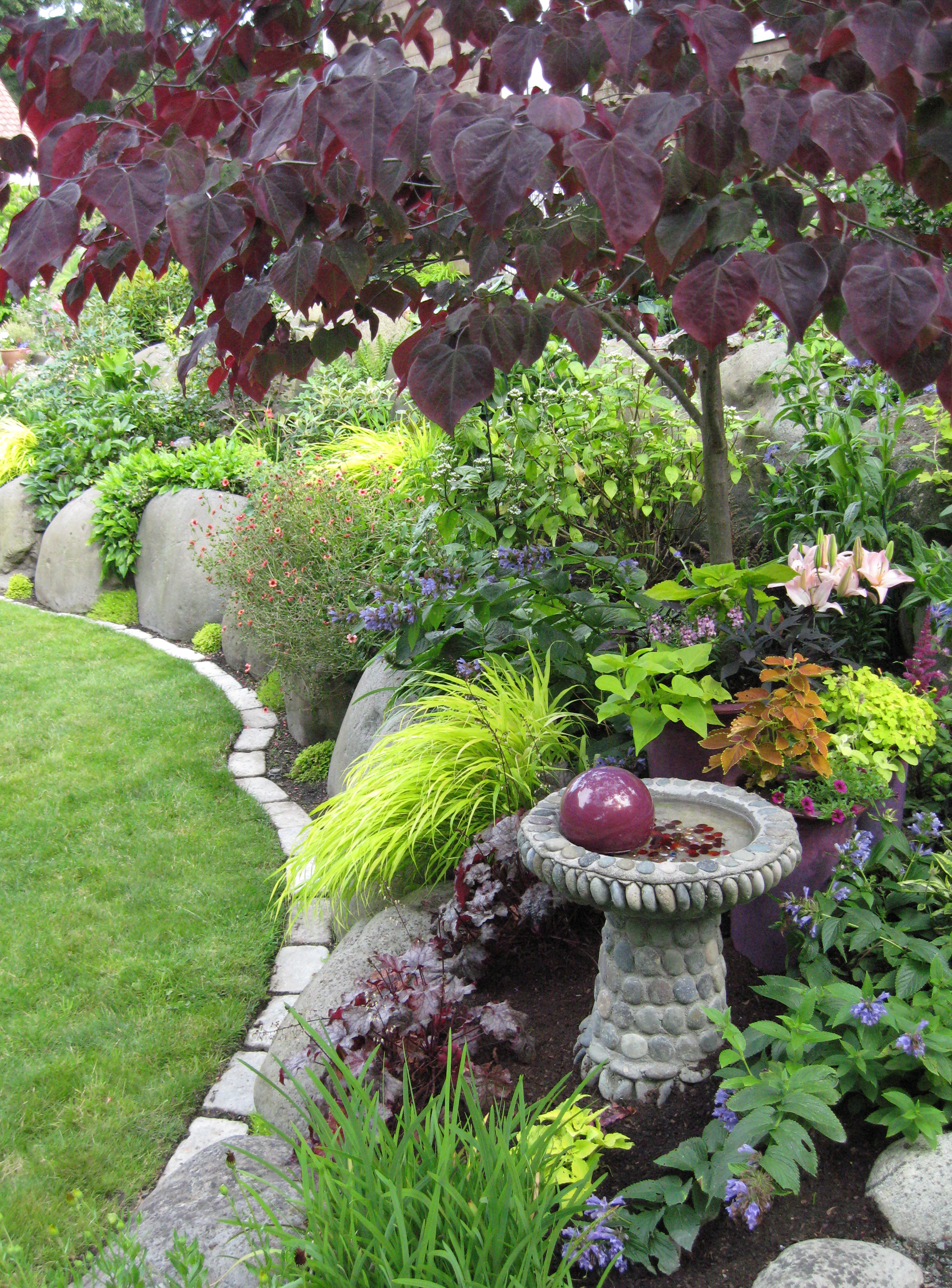 More from Peggy's garden in Washington state - FineGardening   