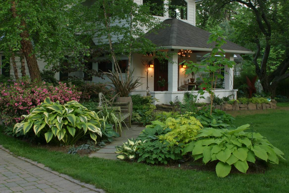 The Most Beautiful Hosta In World Finegardening The Most Beautiful Hosta In World