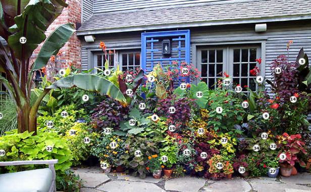 Staging a Container Plant Display FineGardening 02 xlg
