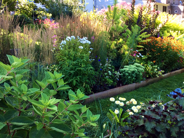 A Prairie Meadow Garden - FineGardening