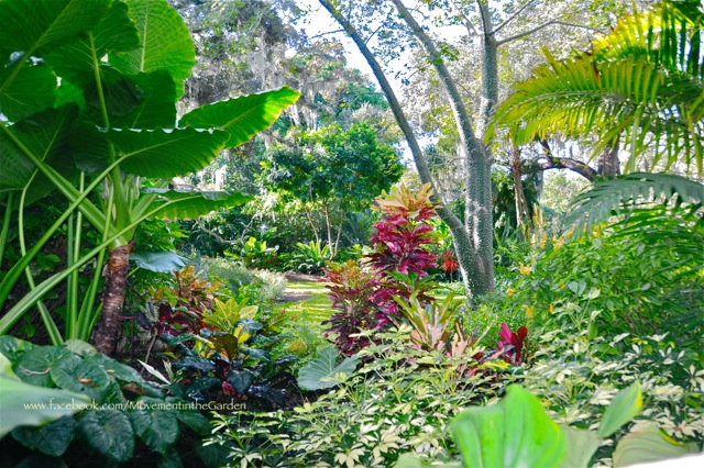 A Subtropical Garden in Sarasota - FineGardening