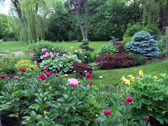 Beautiful Combinations in Wisconsin - FineGardening