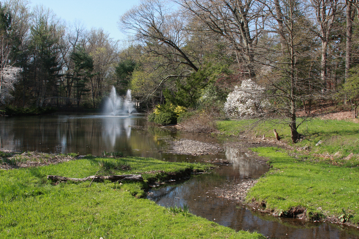 Spring at the Laurelwood Arboretum in New Jersey - FineGardening