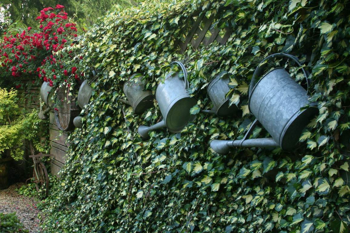 Watering cans as garden ornaments - FineGardening